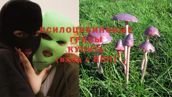 гашиш Белокуриха