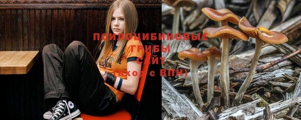 гашиш Белокуриха