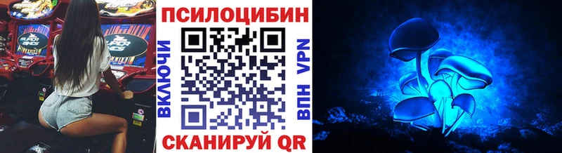 Псилоцибиновые грибы Magic Shrooms  Нестеров 